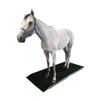 Equine Scales - PL-0469